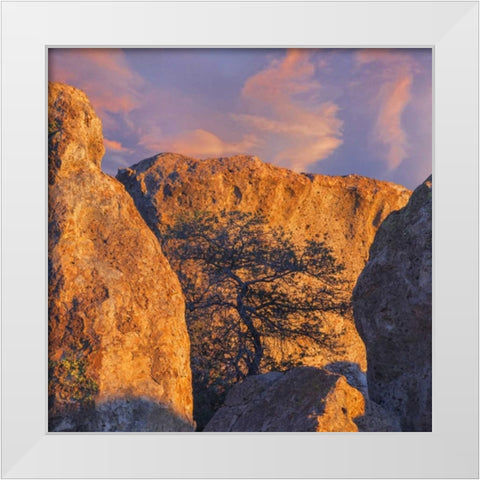 New Mexico, City of Rocks SP Sunset on boulders White Modern Wood Framed Art Print by Paulson, Don