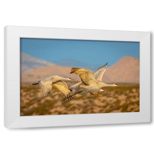 Perspective Image