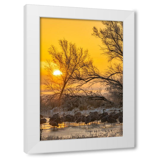 Perspective Image