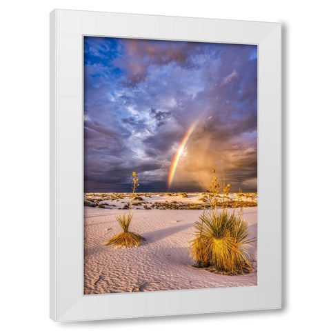 USA-New Mexico-White Sands National Park Thunderstorm rainbow over desert White Modern Wood Framed Art Print by Jaynes Gallery