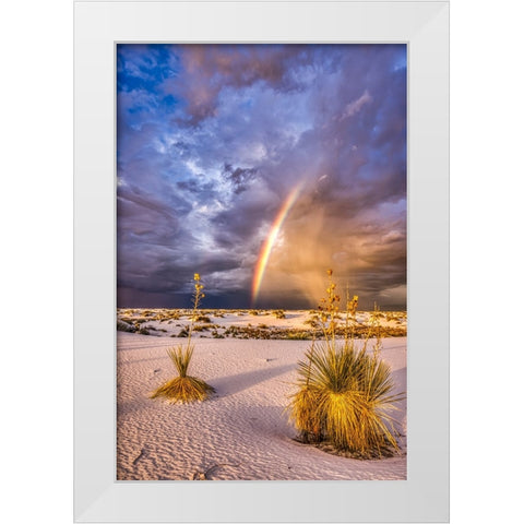 USA-New Mexico-White Sands National Park Thunderstorm rainbow over desert White Modern Wood Framed Art Print by Jaynes Gallery