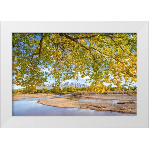 USA- New Mexico- Sandoval County. Sandia Mountains and Rio Grande River in autumn. White Modern Wood Framed Art Print by Jaynes Gallery