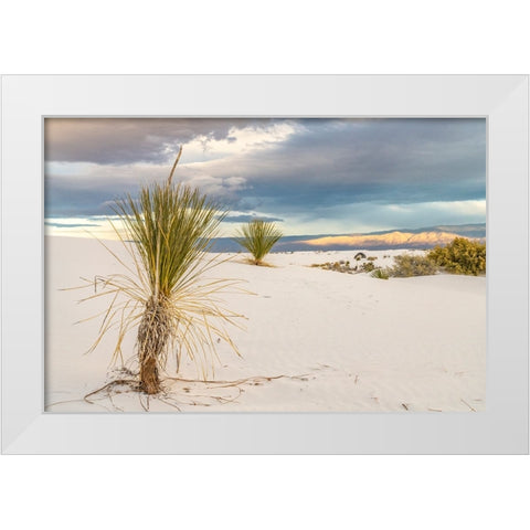 USA- New Mexico- White Sands National Monument. Sand dunes and yucca cacti. White Modern Wood Framed Art Print by Jaynes Gallery