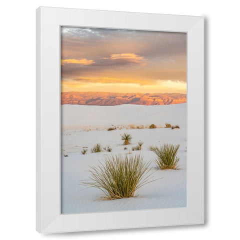 USA- New Mexico- White Sands National Monument. Clouds over sand dunes and yucca cactus. White Modern Wood Framed Art Print by Jaynes Gallery
