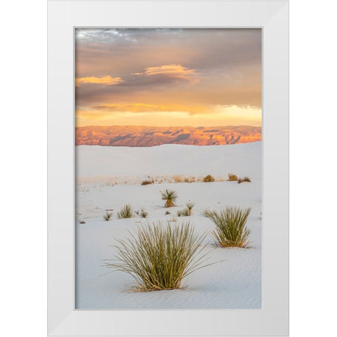 USA- New Mexico- White Sands National Monument. Clouds over sand dunes and yucca cactus. White Modern Wood Framed Art Print by Jaynes Gallery