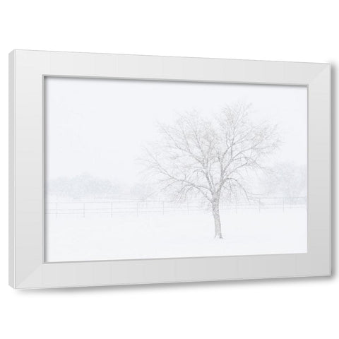 Snowscape in New Mexico White Modern Wood Framed Art Print by Pryor, Maresa