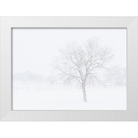 Snowscape in New Mexico White Modern Wood Framed Art Print by Pryor, Maresa