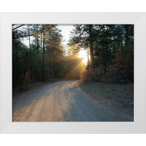 Forest Roads at sunrise-Manzano Mountain Wilderness-Cibola National Forest-New Mexico White Modern Wood Framed Art Print by Pryor, Maresa