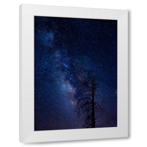 Milky way over the Carson National Forest-Tres Piedras-New Mexico White Modern Wood Framed Art Print by Pryor-Luzier, Maresa