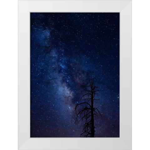 Milky way over the Carson National Forest-Tres Piedras-New Mexico White Modern Wood Framed Art Print by Pryor-Luzier, Maresa