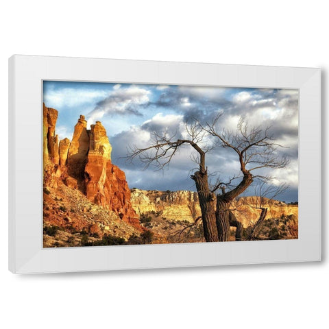 Dead tree and Fall Colors in New Mexico-USA White Modern Wood Framed Art Print by Norring, Tom