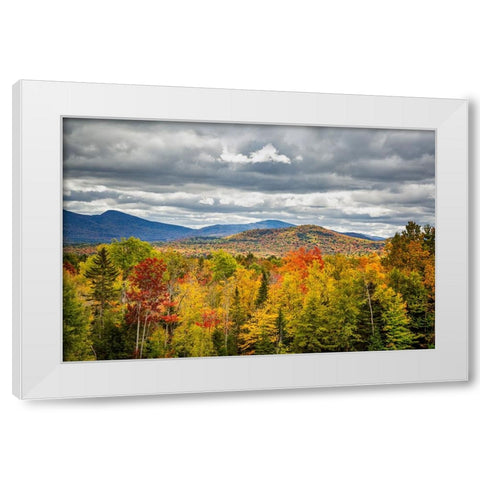 USA-New York-Adirondacks Indian Lake-Fall color at overlook along Route 28 White Modern Wood Framed Art Print by Collins, Ann