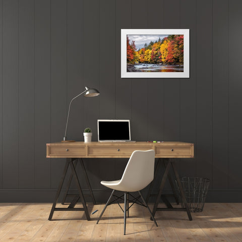 USA-New York-Adirondacks Long Lake-autumn color along the Raquette River White Modern Wood Framed Art Print by Collins, Ann