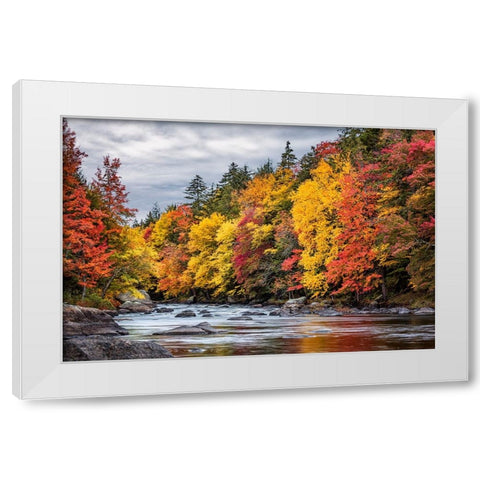 USA-New York-Adirondacks Long Lake-autumn color along the Raquette River White Modern Wood Framed Art Print by Collins, Ann
