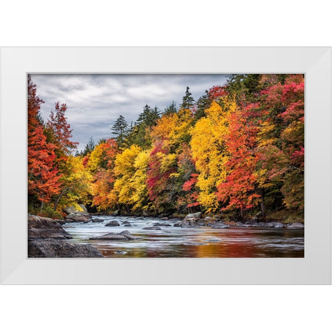 USA-New York-Adirondacks Long Lake-autumn color along the Raquette River White Modern Wood Framed Art Print by Collins, Ann