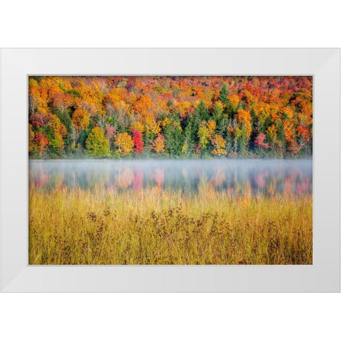 USA-New York-Adirondacks Lake Placid-morning sun at Connery Pond White Modern Wood Framed Art Print by Collins, Ann