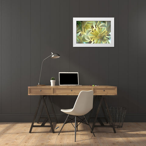NY, Slingerlands Oriental lilies abstract White Modern Wood Framed Art Print by Noble Gardner, Nancy
