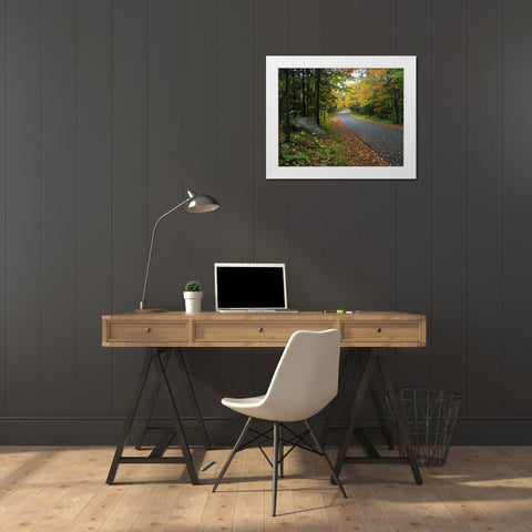NY, Adirondack Mts Autumn trees line road White Modern Wood Framed Art Print by Terrill, Steve