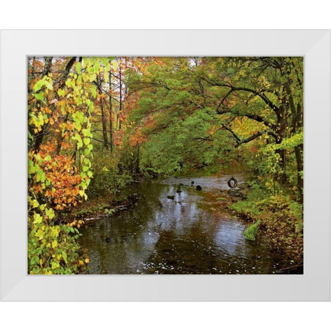 New York Tire swing hangs over Brant Creek White Modern Wood Framed Art Print by Terrill, Steve