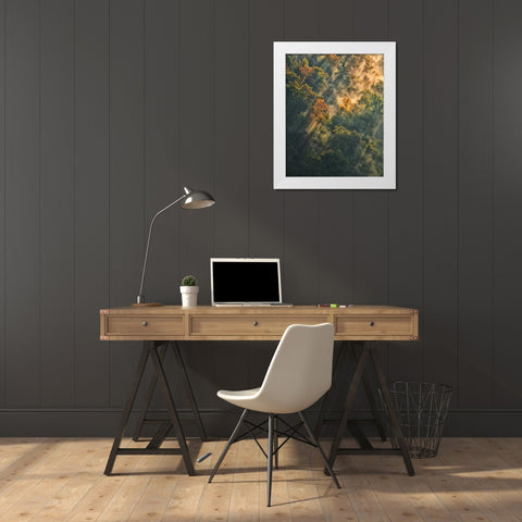 NY, Letchworth SP Sunrise lights foggy forest White Modern Wood Framed Art Print by OBrien, Jay
