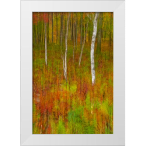 New York, Inlet Abstract of autumn forest scene White Modern Wood Framed Art Print by OBrien, Jay