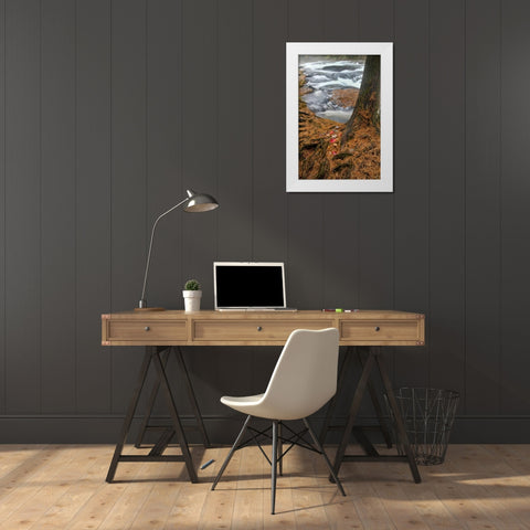 USA, New York, Inlet Mist over rushing stream White Modern Wood Framed Art Print by OBrien, Jay