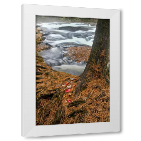 USA, New York, Inlet Mist over rushing stream White Modern Wood Framed Art Print by OBrien, Jay