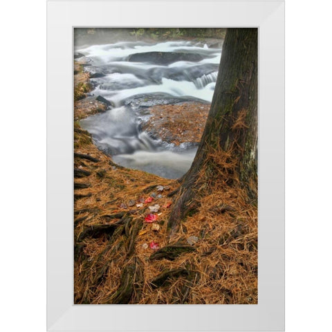 USA, New York, Inlet Mist over rushing stream White Modern Wood Framed Art Print by OBrien, Jay