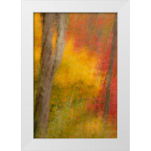 New York, Inlet Abstract of autumn forest scene White Modern Wood Framed Art Print by OBrien, Jay