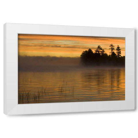 New York, Adirondack Mts Racquette Lake, sunrise White Modern Wood Framed Art Print by Rotenberg, Nancy