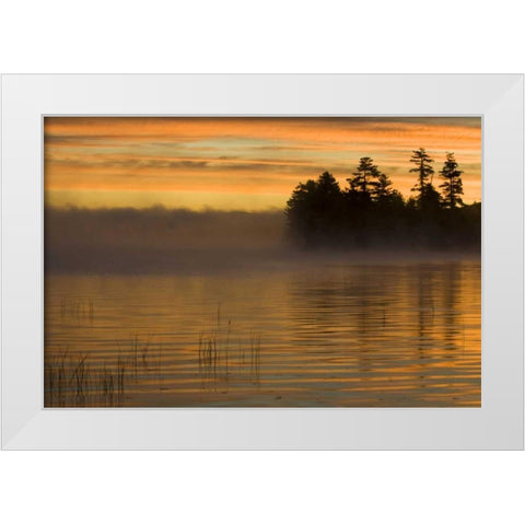 New York, Adirondack Mts Racquette Lake, sunrise White Modern Wood Framed Art Print by Rotenberg, Nancy