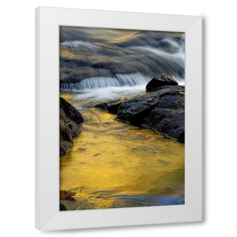 NY, Adirondack Mts Stream at Buttermilk Falls White Modern Wood Framed Art Print by OBrien, Jay