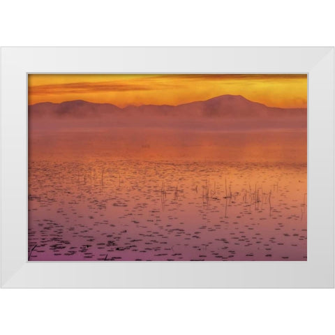 New York, Adirondack Mts Mist on Raquette Lake White Modern Wood Framed Art Print by OBrien, Jay