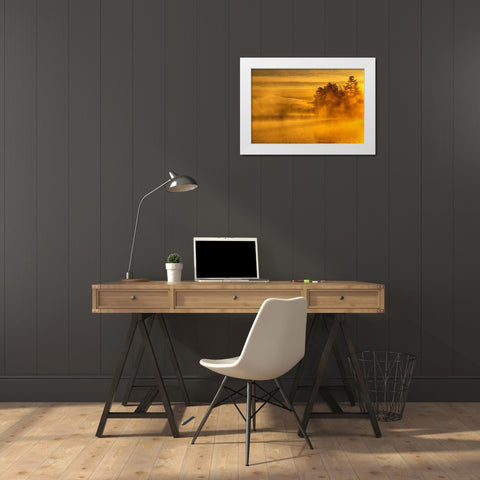 New York, Adirondack Mts Mist on Raquette Lake White Modern Wood Framed Art Print by OBrien, Jay