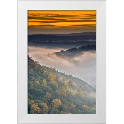 New York, Letchworth SP Foggy landscape, sunrise White Modern Wood Framed Art Print by OBrien, Jay