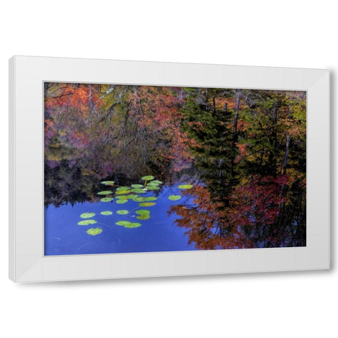 NY, Adirondack Mts Trees reflecting in water White Modern Wood Framed Art Print by OBrien, Jay
