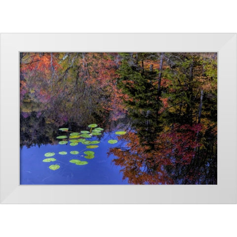 NY, Adirondack Mts Trees reflecting in water White Modern Wood Framed Art Print by OBrien, Jay
