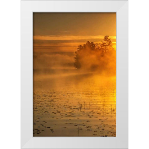 New York, Adirondack Mts Mist on Raquette Lake White Modern Wood Framed Art Print by OBrien, Jay
