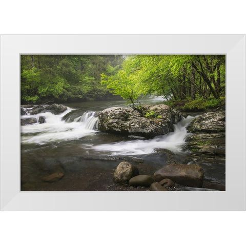 Cascading mountain stream-Great Smoky Mountains National Park-Tennessee-North Carolina White Modern Wood Framed Art Print by Jones, Adam