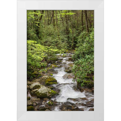 Cascading mountain stream-Great Smoky Mountains National Park-Tennessee-North Carolina White Modern Wood Framed Art Print by Jones, Adam