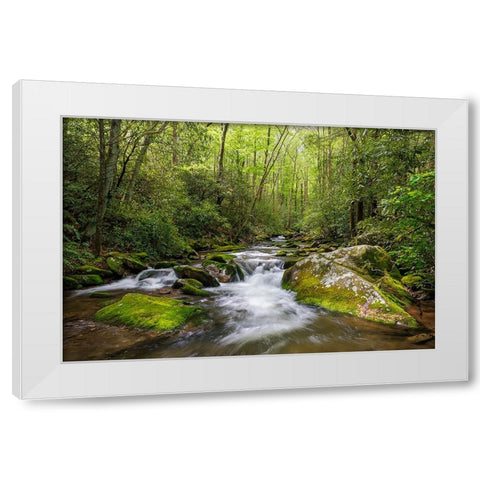 Cascading mountain stream-Great Smoky Mountains National Park-Tennessee-North Carolina White Modern Wood Framed Art Print by Jones, Adam