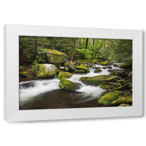 Cascading mountain stream-Great Smoky Mountains National Park-Tennessee-North Carolina White Modern Wood Framed Art Print by Jones, Adam