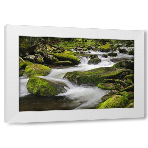 Cascading mountain stream-Great Smoky Mountains National Park-Tennessee-North Carolina White Modern Wood Framed Art Print by Jones, Adam
