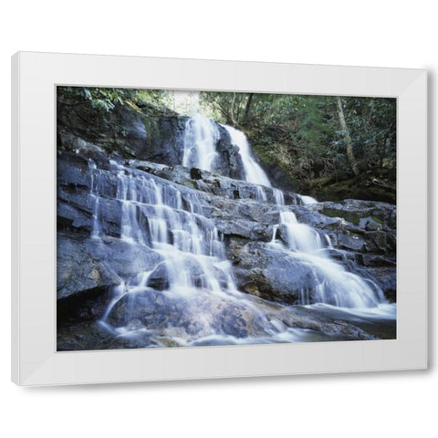 North Carolina, Great Smoky Mts Waterfall White Modern Wood Framed Art Print by Talbot Frank, Christopher