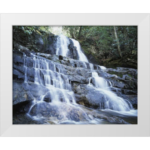 North Carolina, Great Smoky Mts Waterfall White Modern Wood Framed Art Print by Talbot Frank, Christopher