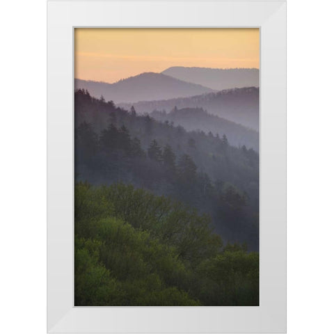 North Carolina Oconaluftee Overlook at sunrise White Modern Wood Framed Art Print by Flaherty, Dennis