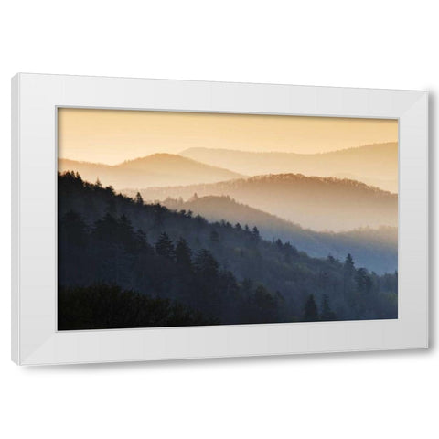 North Carolina Oconaluftee Overlook at sunrise White Modern Wood Framed Art Print by Flaherty, Dennis