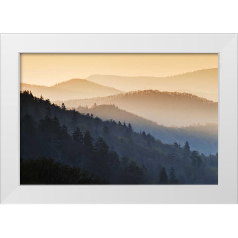 North Carolina Oconaluftee Overlook at sunrise White Modern Wood Framed Art Print by Flaherty, Dennis