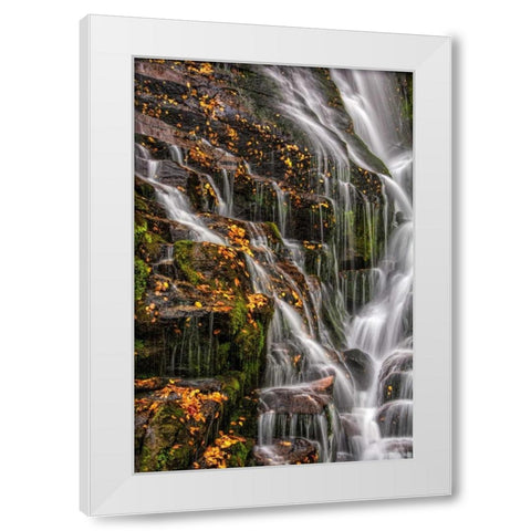 North Carolina, Brevard Waterfall in DuPont SF White Modern Wood Framed Art Print by OBrien, Jay
