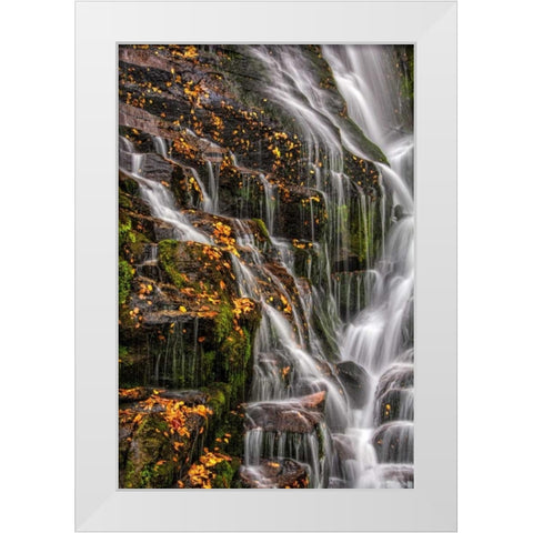 North Carolina, Brevard Waterfall in DuPont SF White Modern Wood Framed Art Print by OBrien, Jay